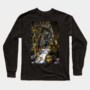 Padley Gorge Winter Long Sleeve T-Shirt